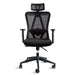 Titan Ergo 9606F (Mesh) | Titan Chair