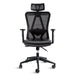 Titan Ergo 9606P (Synthetic Leather) | Titan Chair